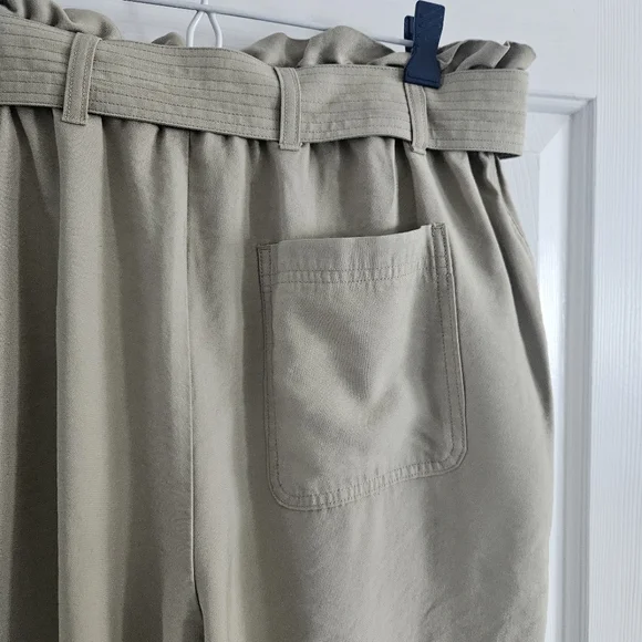 NWOT A New Day High Rise Paper Bag Waist Pants With Belt - Picture 8 of 10